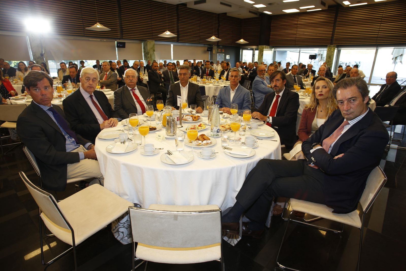 Miguel Sánchez Cossío, Ángel Juan Pascual, Emilio Medina Reborio, Federico Fernández, Francisco Javier Cano, Pelayo Castillo, Diana Domecq Delgado, Luis López de Carrizosa Caballero.