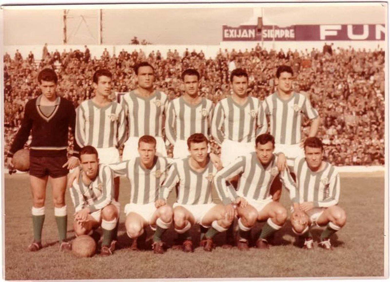 Francisco Domínguez, en un partido con el Betis.