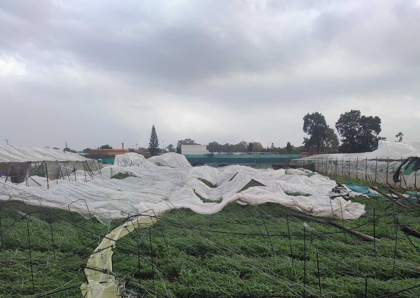 Invernaderos de Chipiona destrozados por el viento.