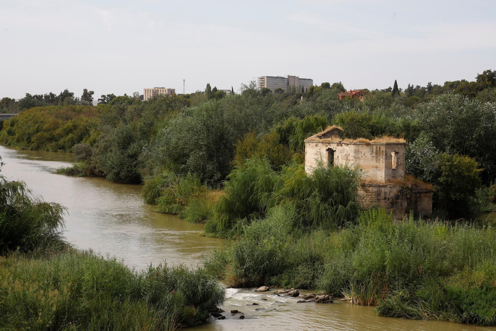 Las imágenes de los Molinos de Córdoba en el río Guadalquivir