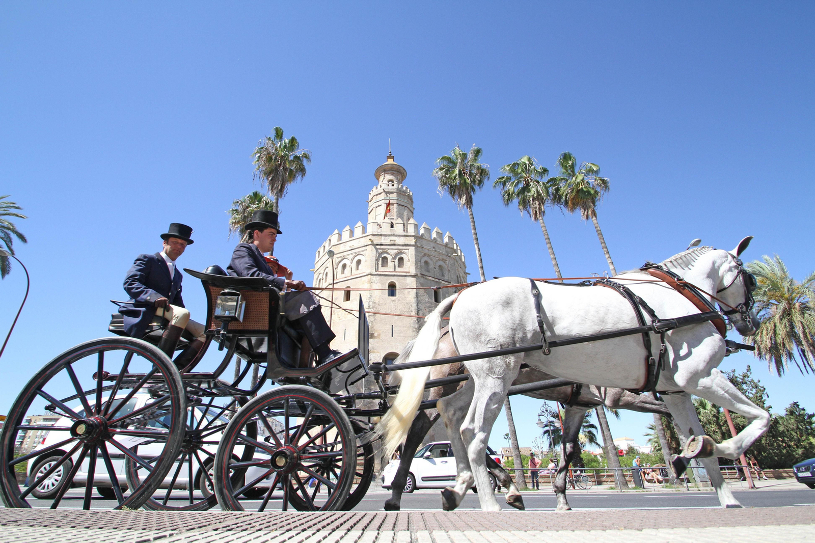 Un 'spider phaeton' tirado por caballos en tronco en su paso por la Torre del Oro.