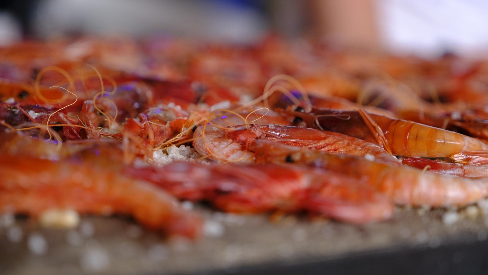 Imágenes de la Feria de la Gamba Roja de Garrucha