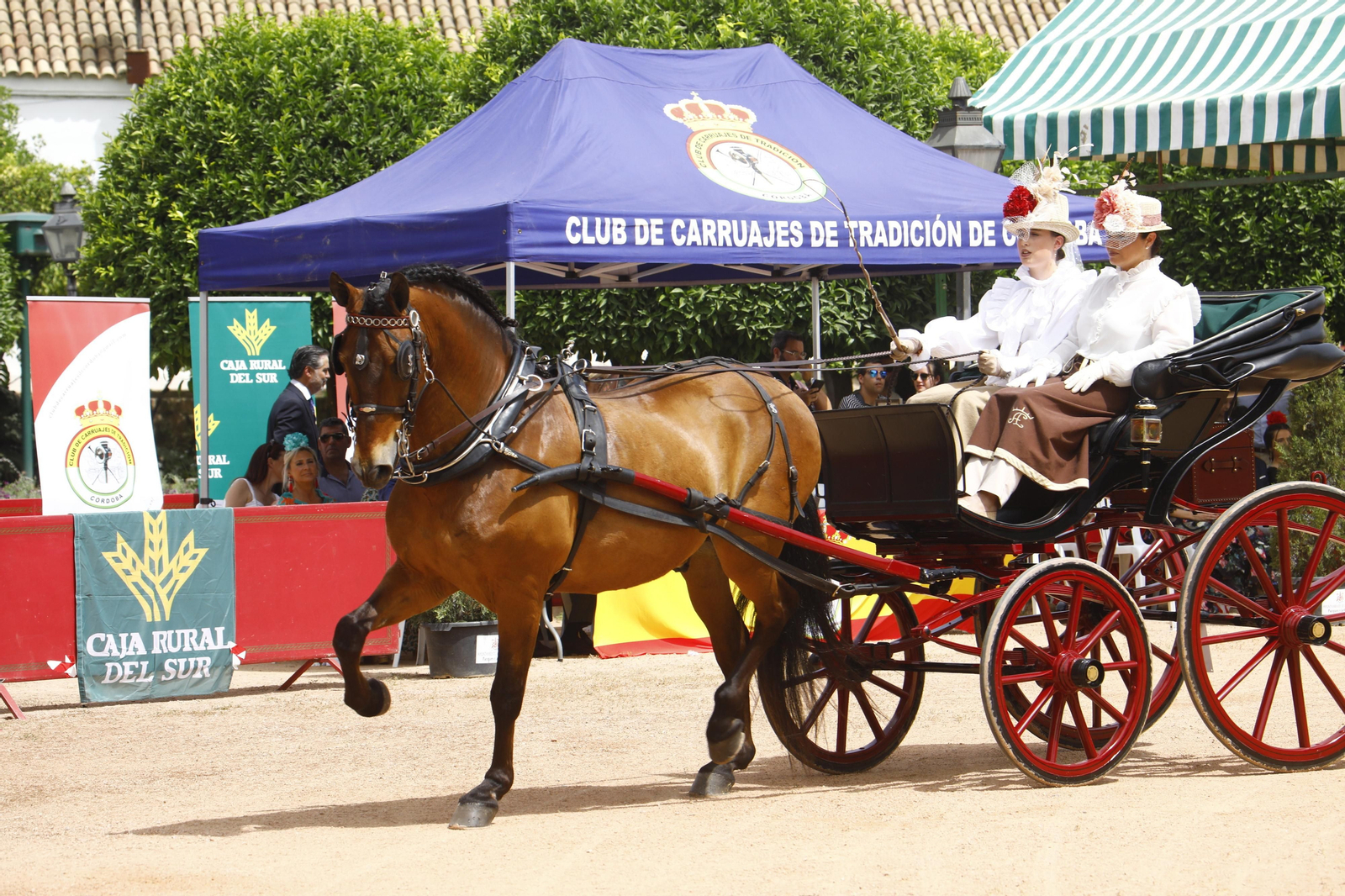 La Exhibición de Carruajes de Tradición de la Feria de Córdoba, en imágenes