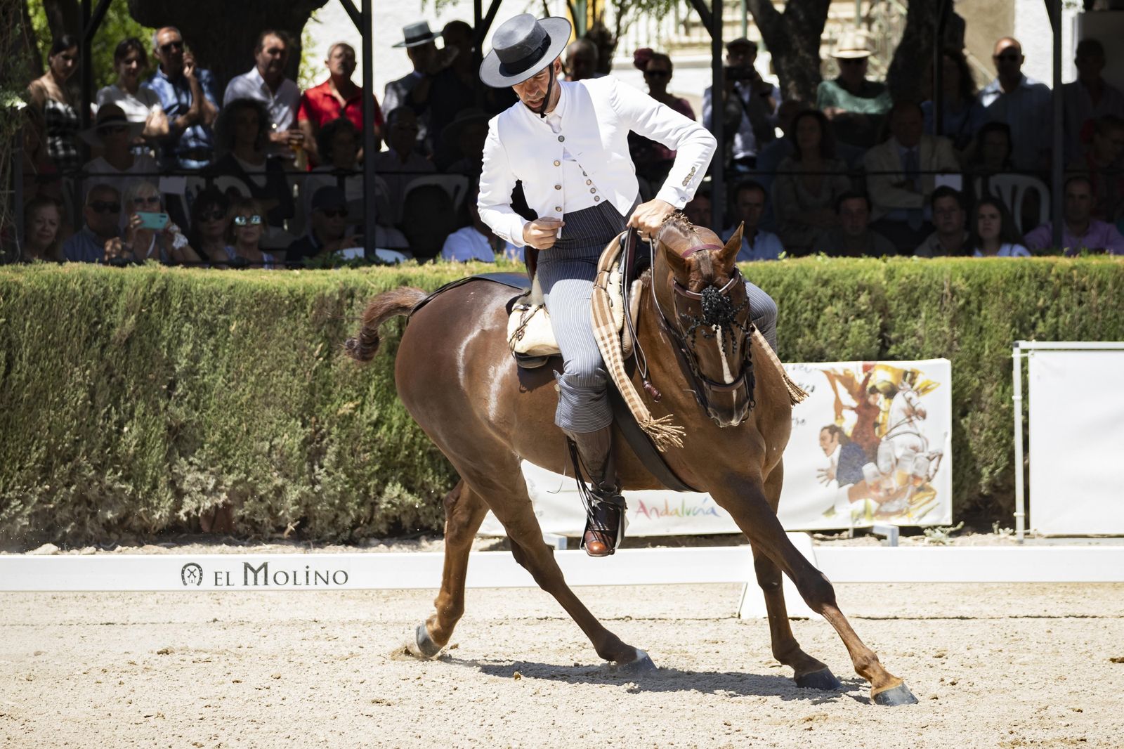 Final del concurso de Doma Vaquera 2023 en el Depósito de Sementales