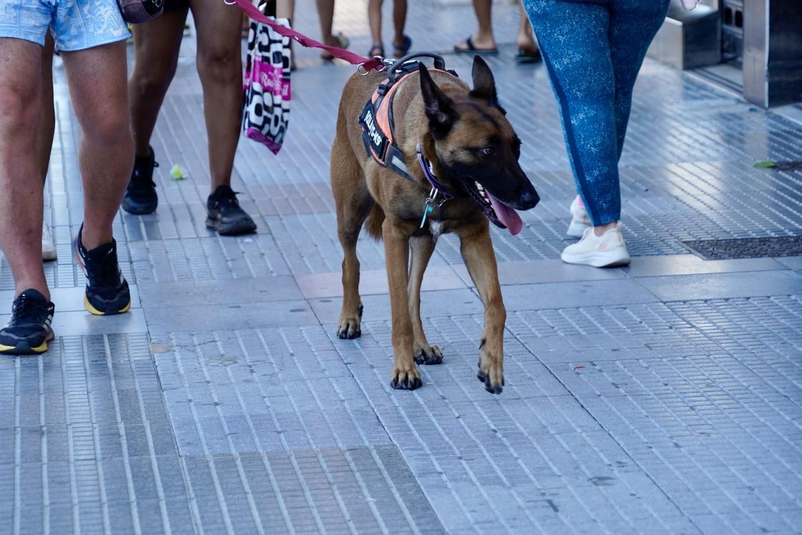 La Calle Ancha de Punta Umbría, una tarde de verano con el sol cayendo