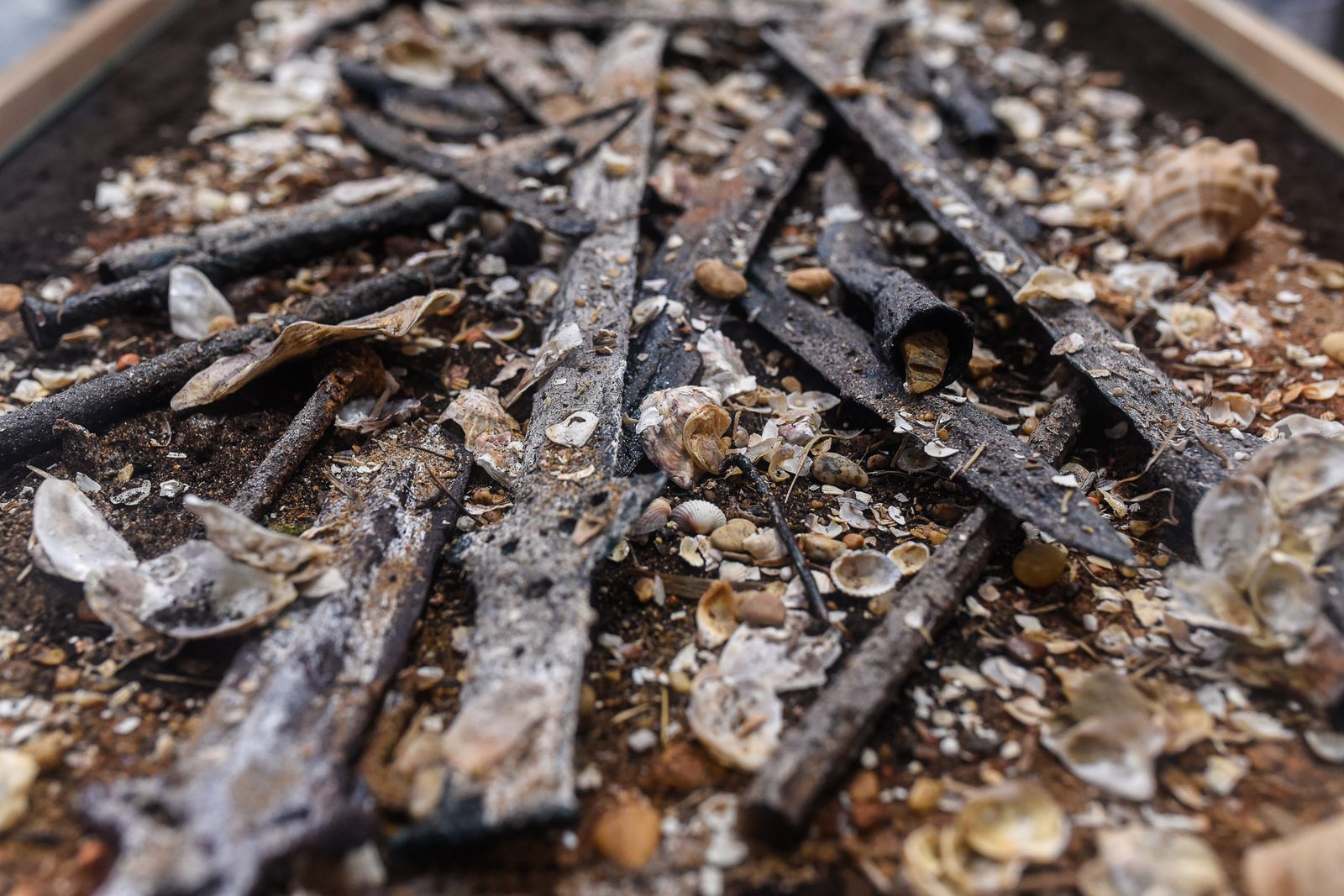 Imágenes de la inauguración de Huelva, el corazón de Tartessos. I Jornada patrimonial en el entorno de la Ría'