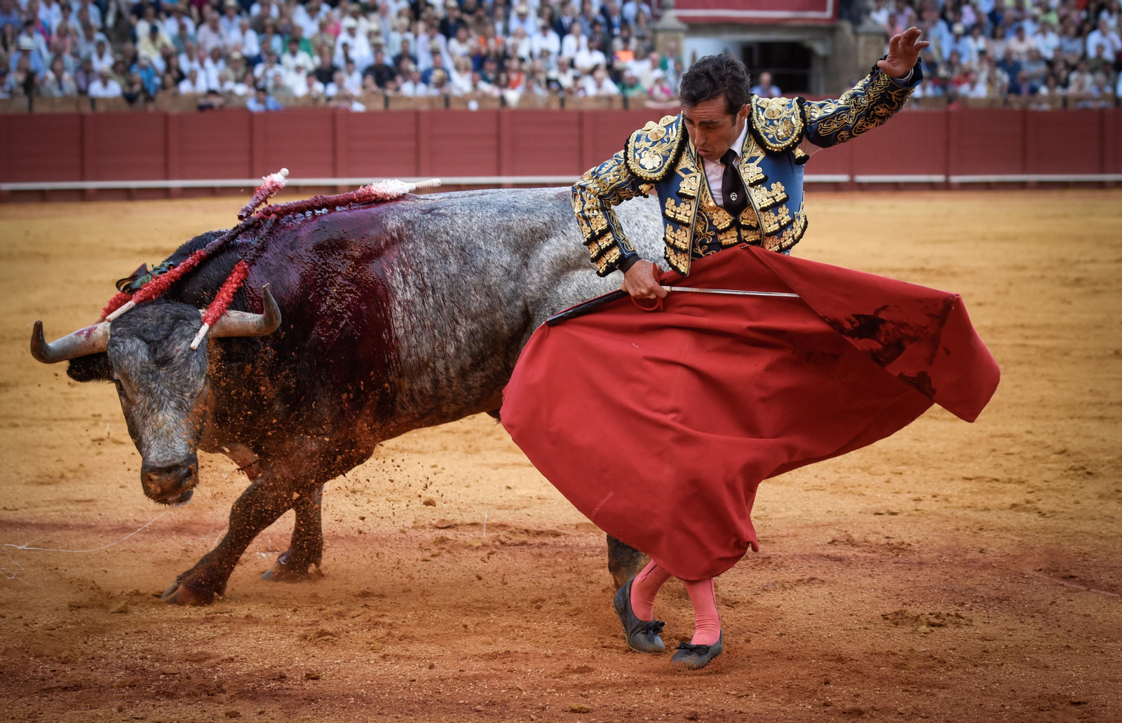 Las imágenes de la corrida de toros de El Fandi, Manuel Escribano y Esaú Fernández