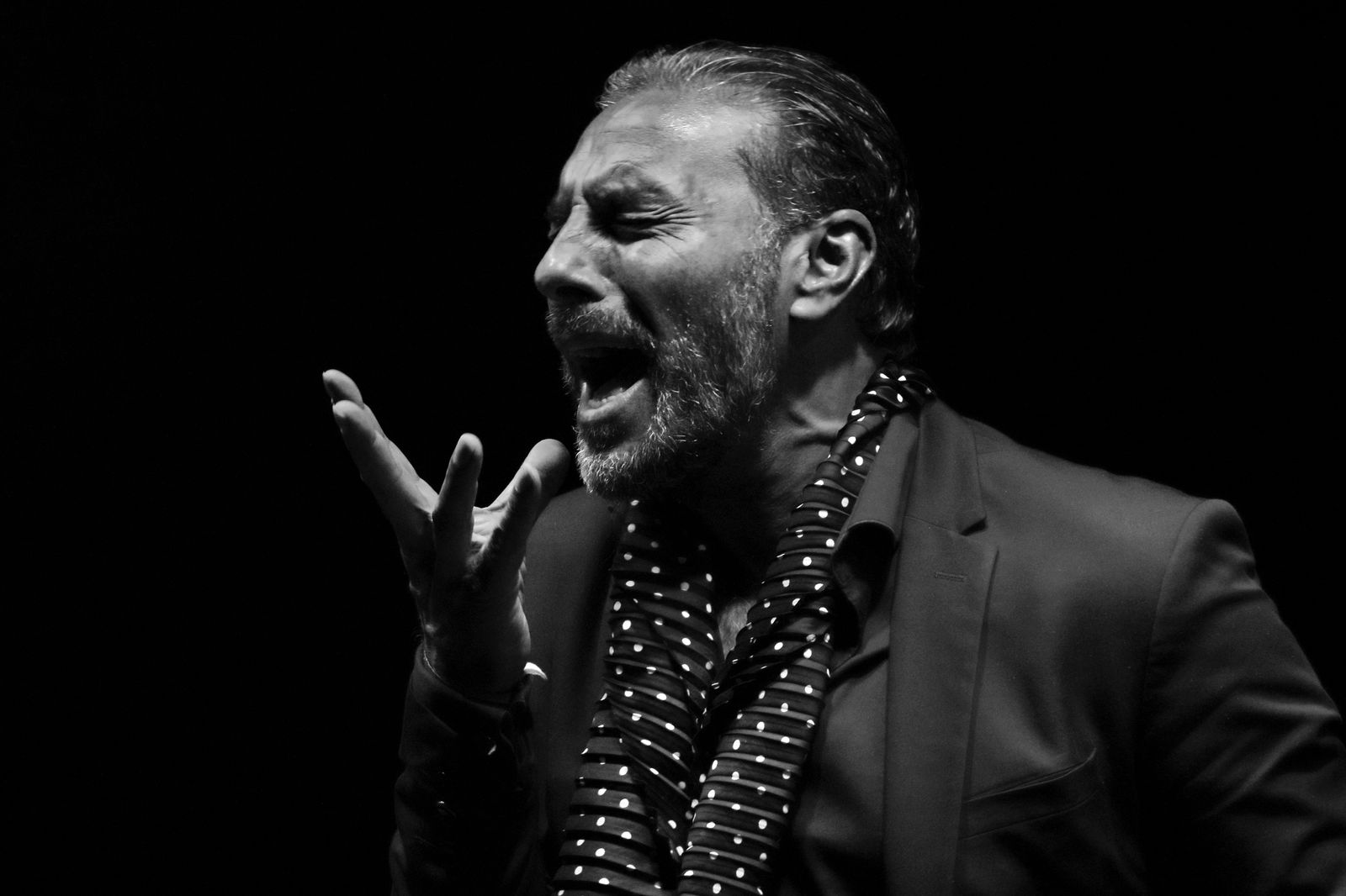 Pedro el Granaíno en una de sus actuaciones.