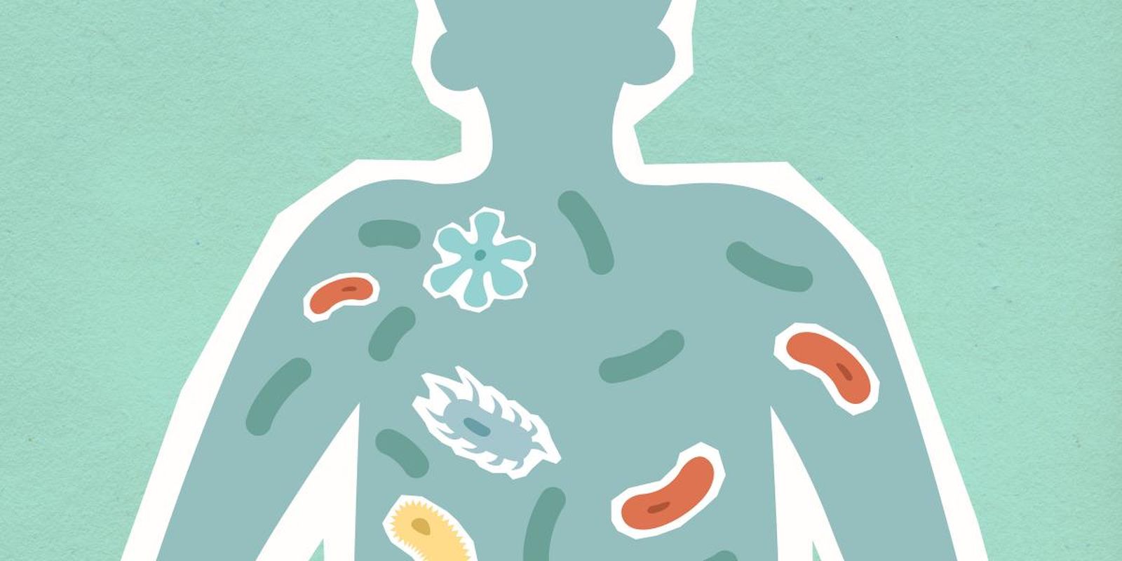 Los peligros de las superbacterias, las asesinas silenciosas