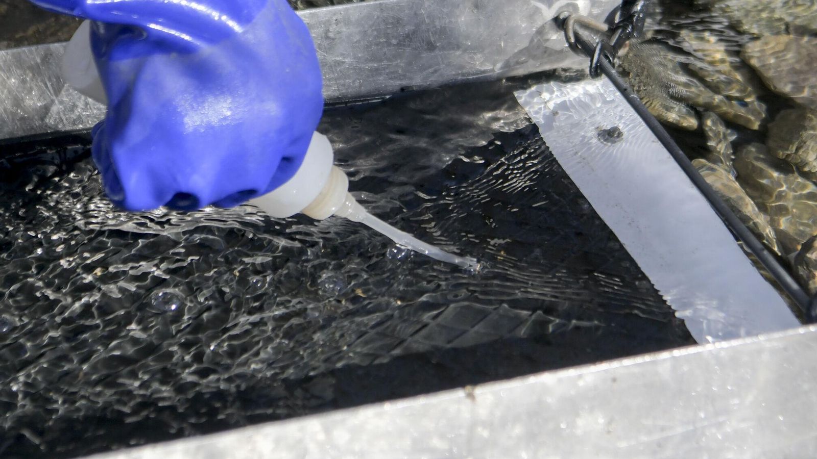 Proceso de extracción del oro atrapado en la caja de esclusa