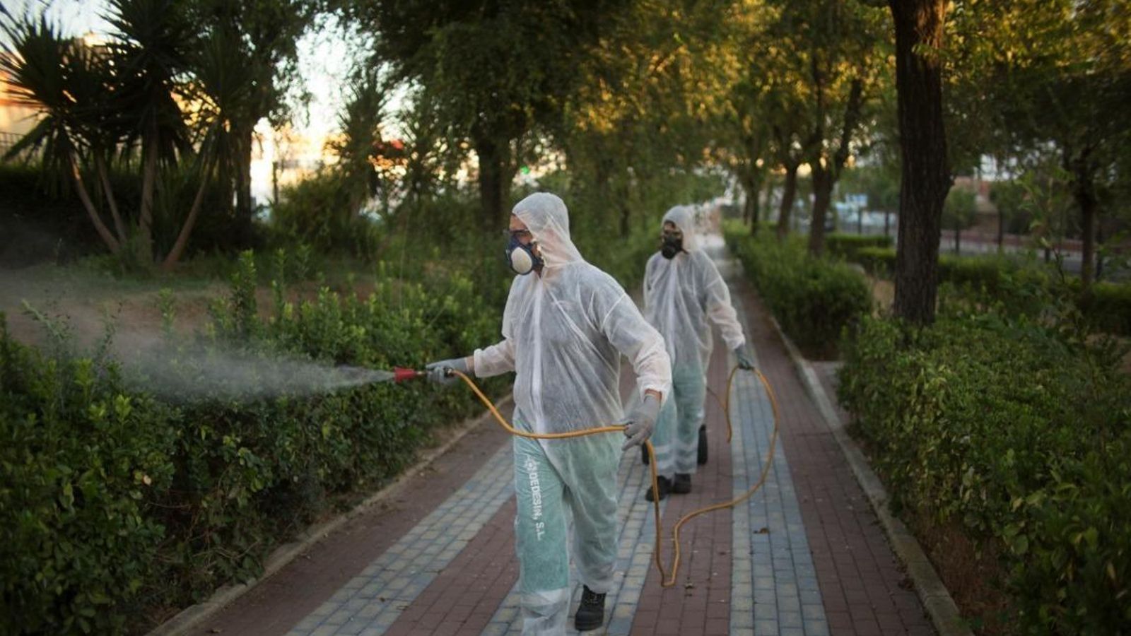 El Ayuntamiento está fumigando en zonas verdes de La Puebla del Río.
