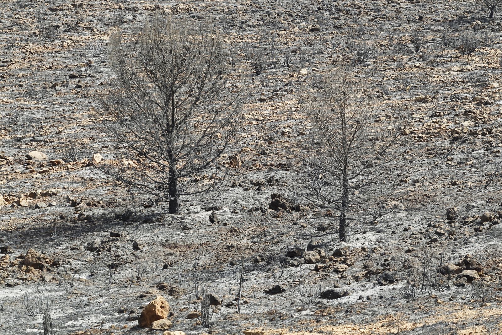 Fotogalería incendio extinguido Sierra de Gádor