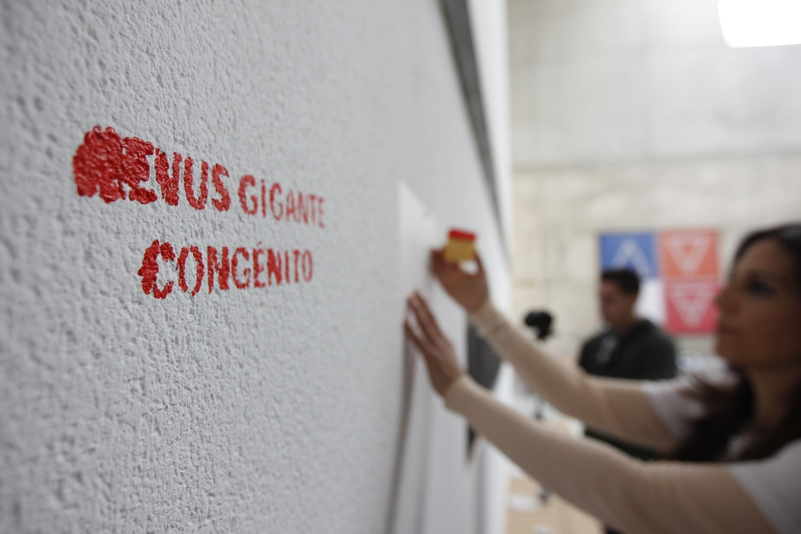 Fotos mural reivindicativo enfermedades raras Universidad de Almería-UAL