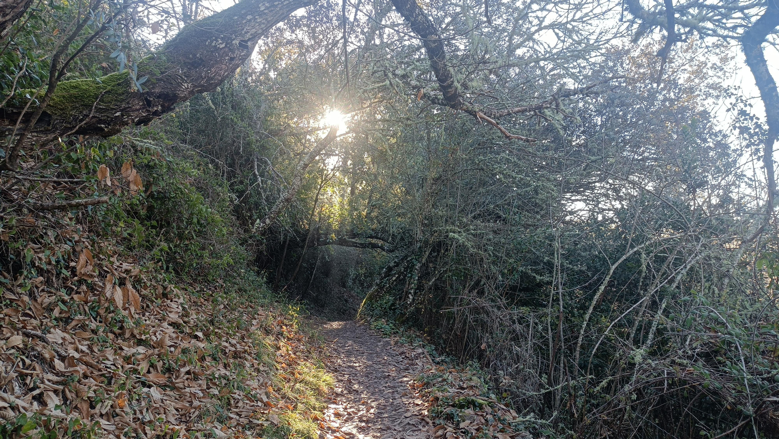 El recorrido es muy fotogénico.