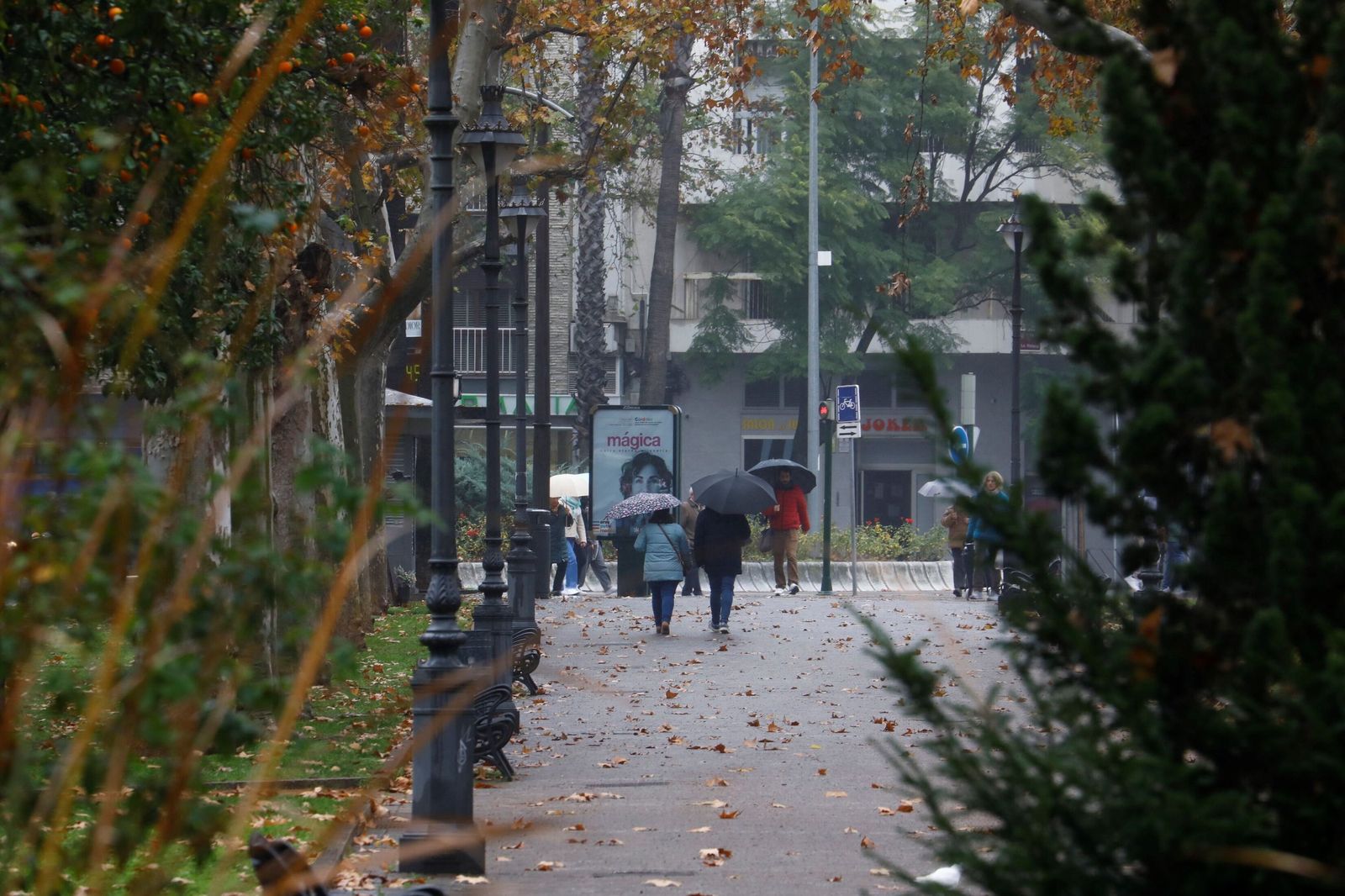 El paso de la borrasca Goretti por Córdoba
