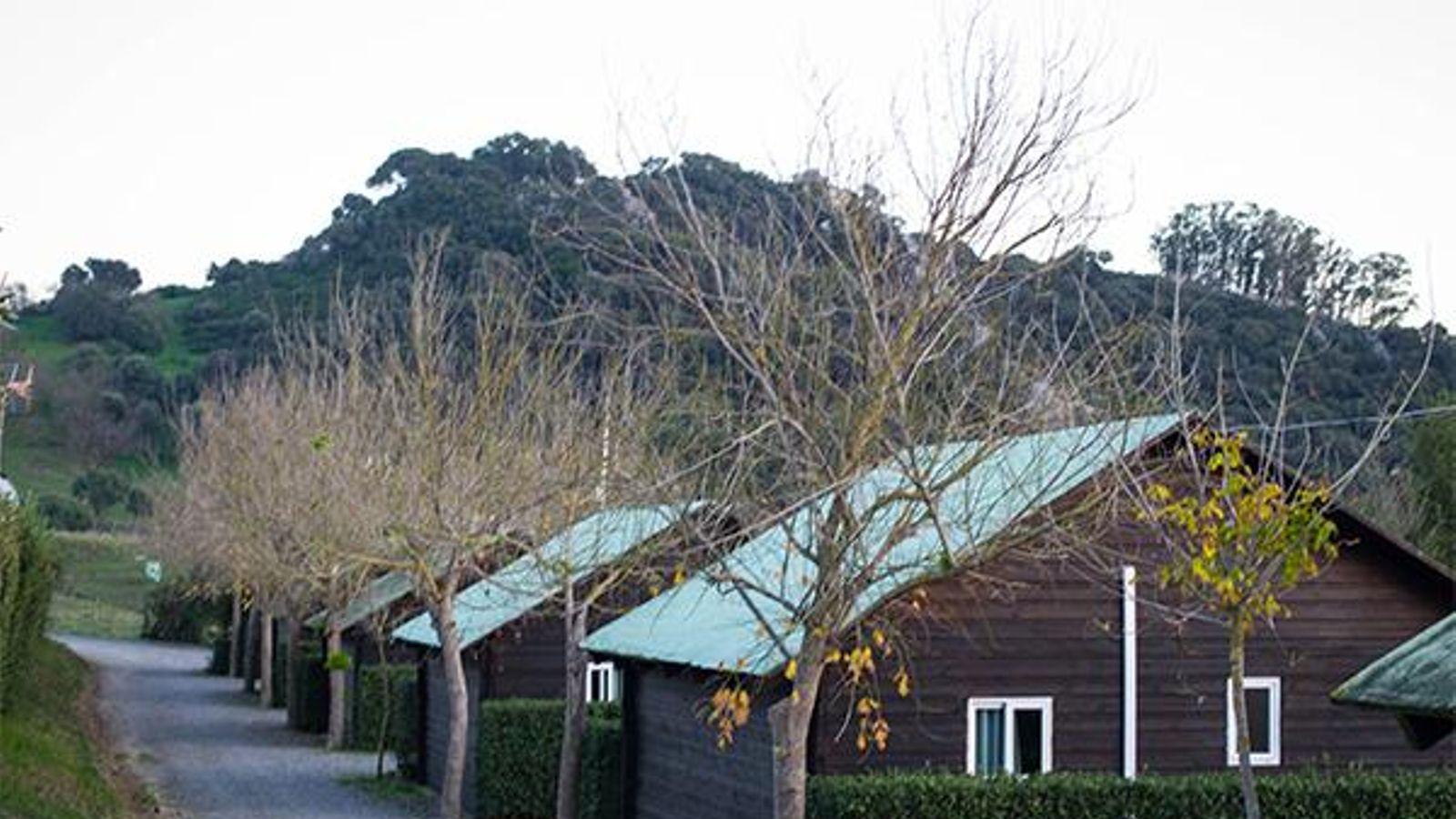 Imagen del Camping Los Alcornocales.