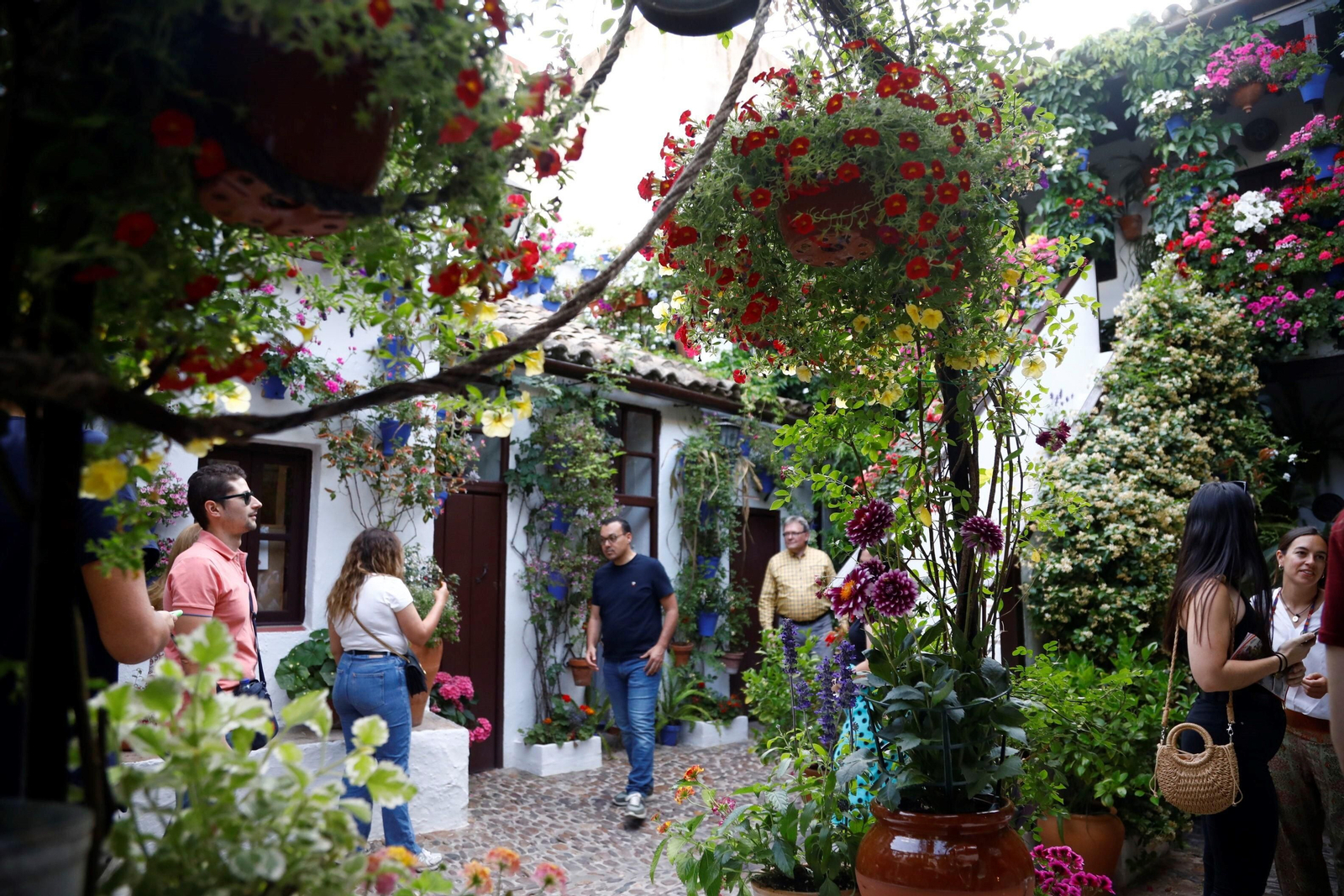 Los ganadores del Concurso de Patios de Córdoba 2023, en imágenes