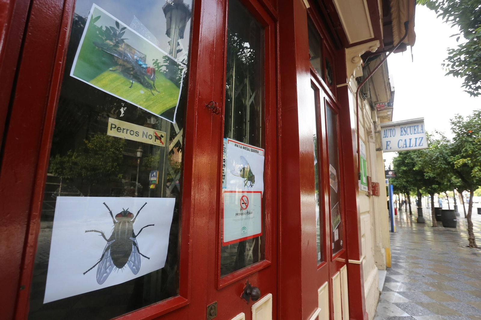 Coronavirus, imágenes del primer día de cierre de la Hostelería y comercios no esenciales en Jerez