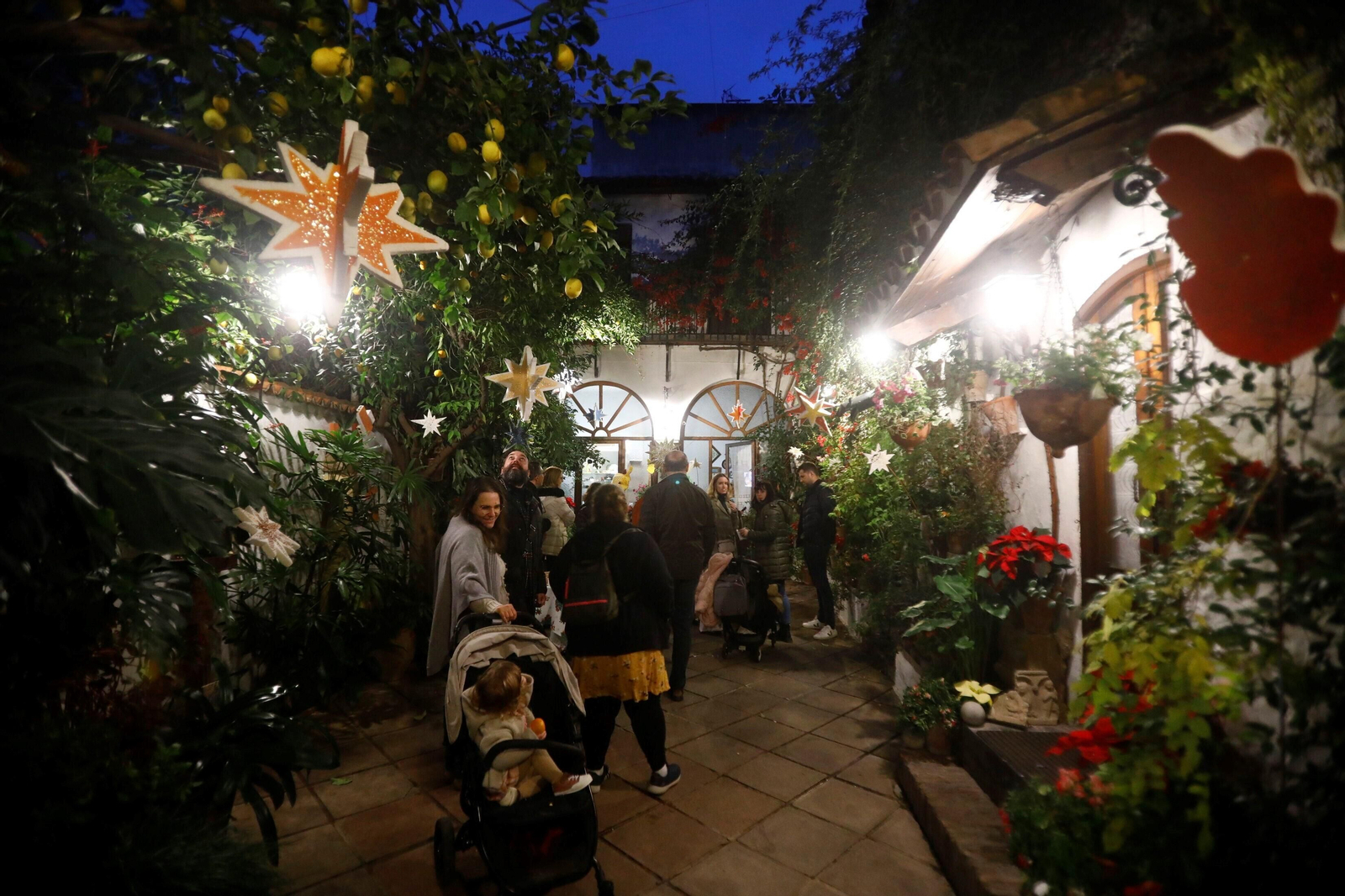 Las mejores imágenes de la apertura de los Patios en Navidad