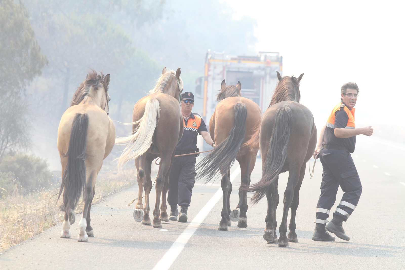 Las imágenes del incendio en Moguer y Mazagón