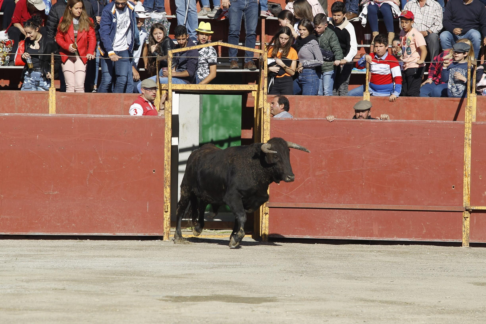 Fotogalería Novillada Fiestas de Abrucena