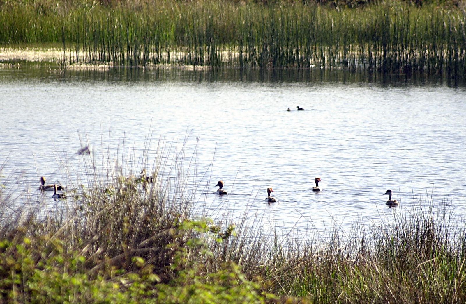 Parque Nacional de Doñana.