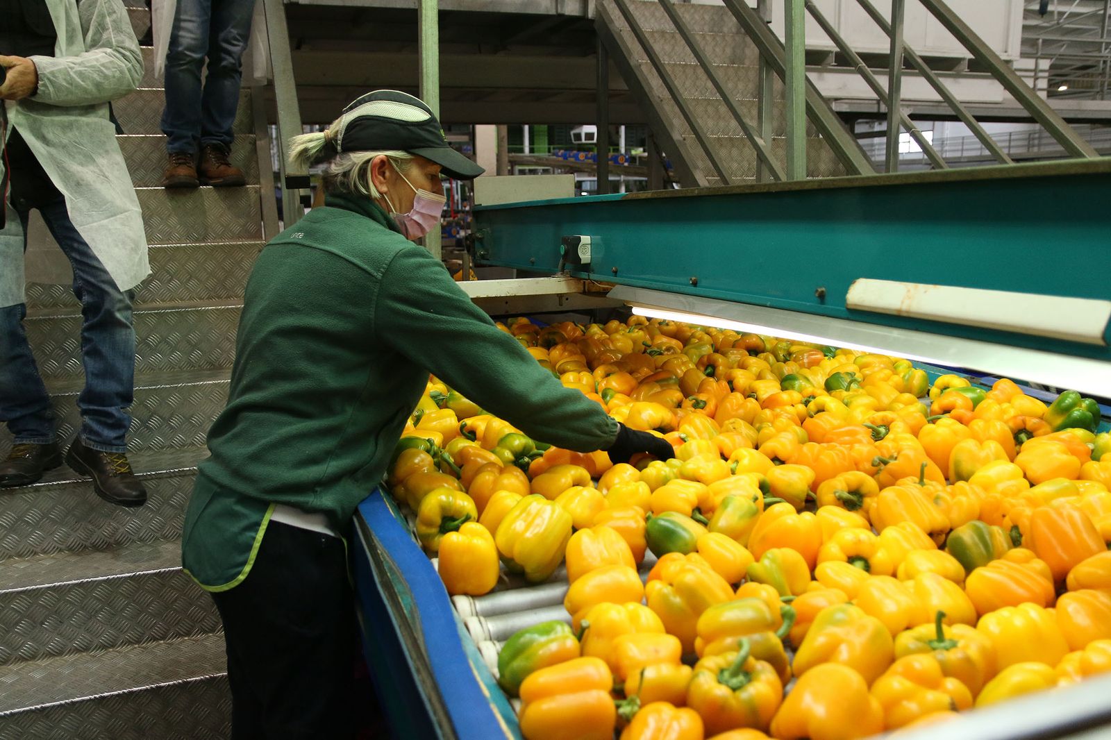 El sector agroalimentario, el gran motor de la economía y del bienestar en Andalucía