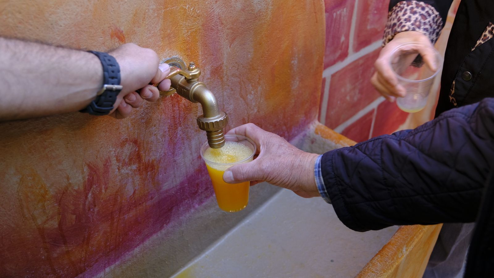 El Día de la Naranja en Gádor, en imágenes