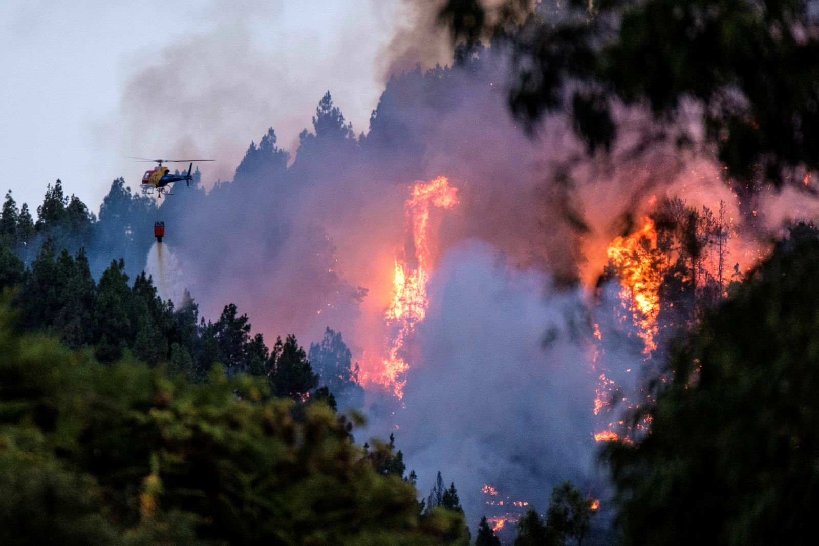 Las imágenes del incendio forestal en Gran Canaria.