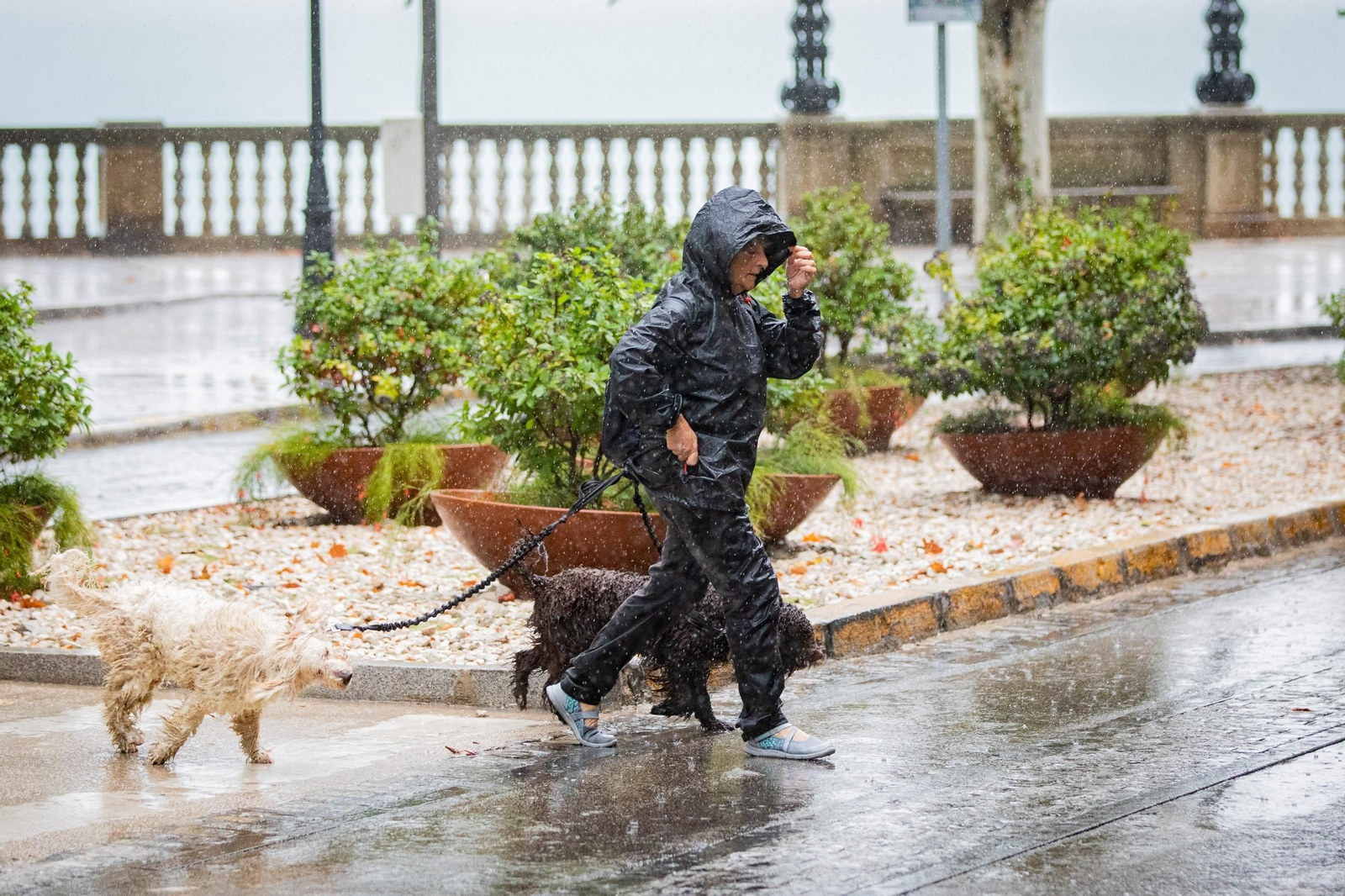 Las imágenes de las lluvias en Cádiz