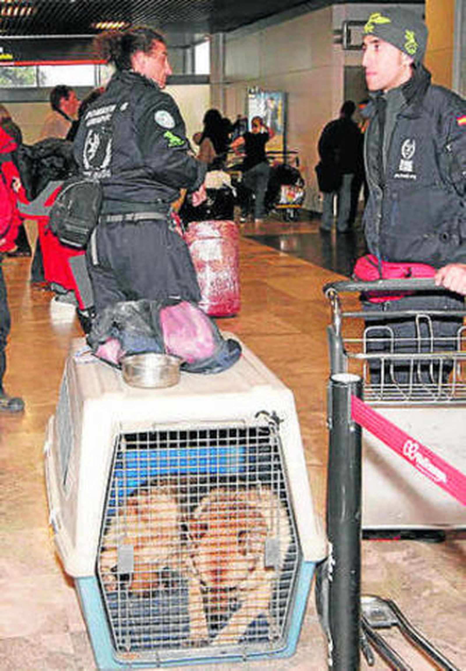 Los bomberos, en Madrid.