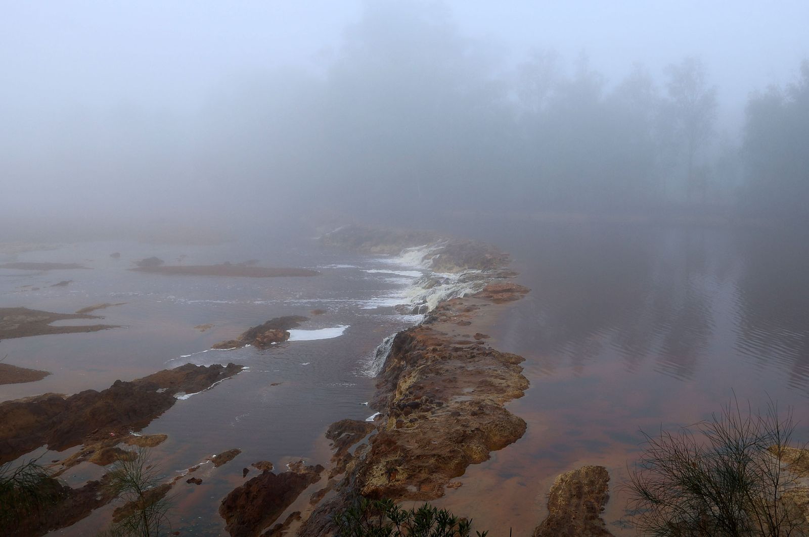 Imágenes de la densa niebla con la que han amanecido varios municipios de Huelva