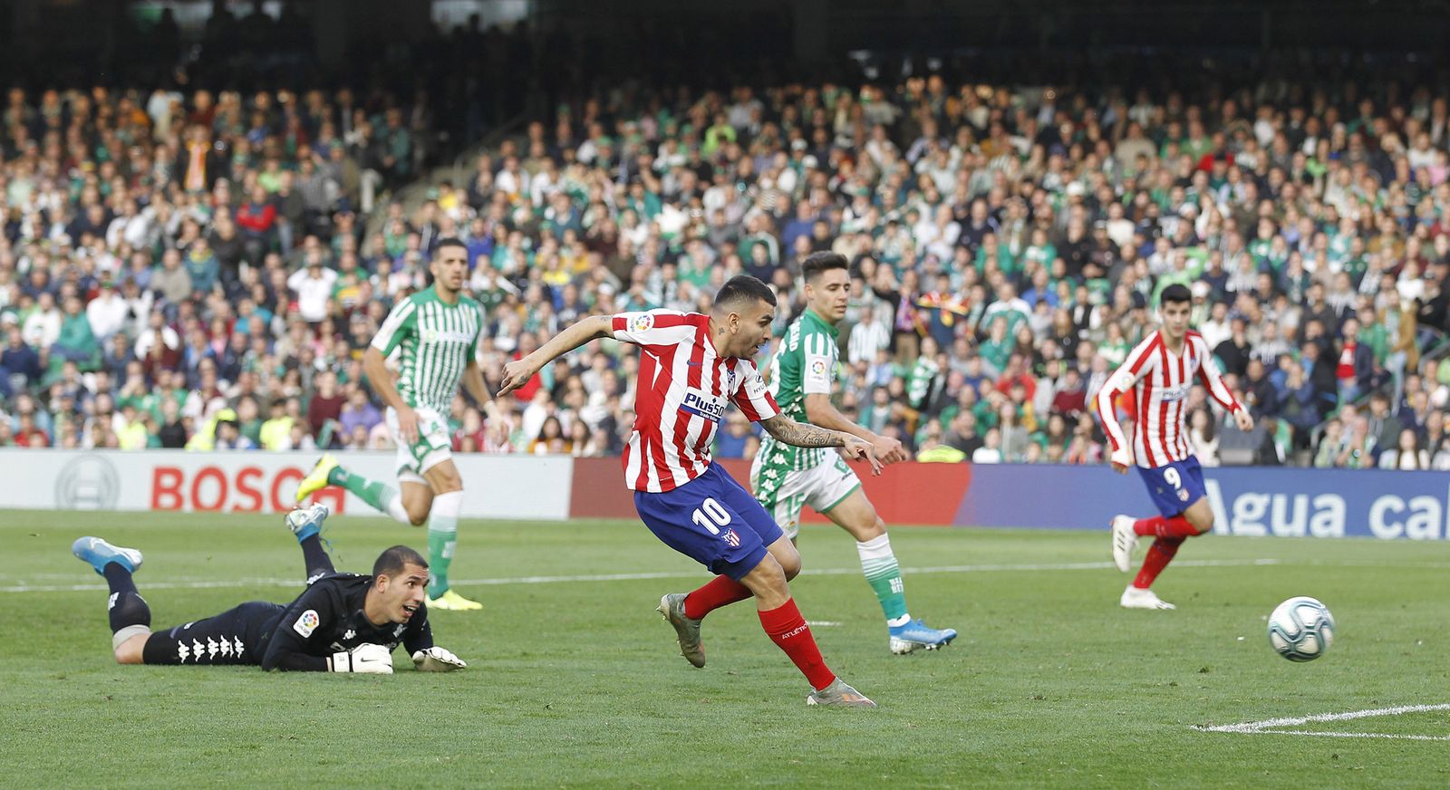 Las imágenes del Betis-atlético de Madrid