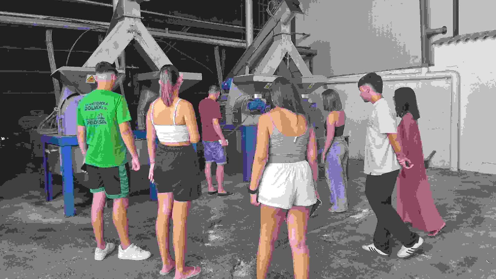 Proyecto para integrar a jóvenes universitarios en cooperativas agrarias