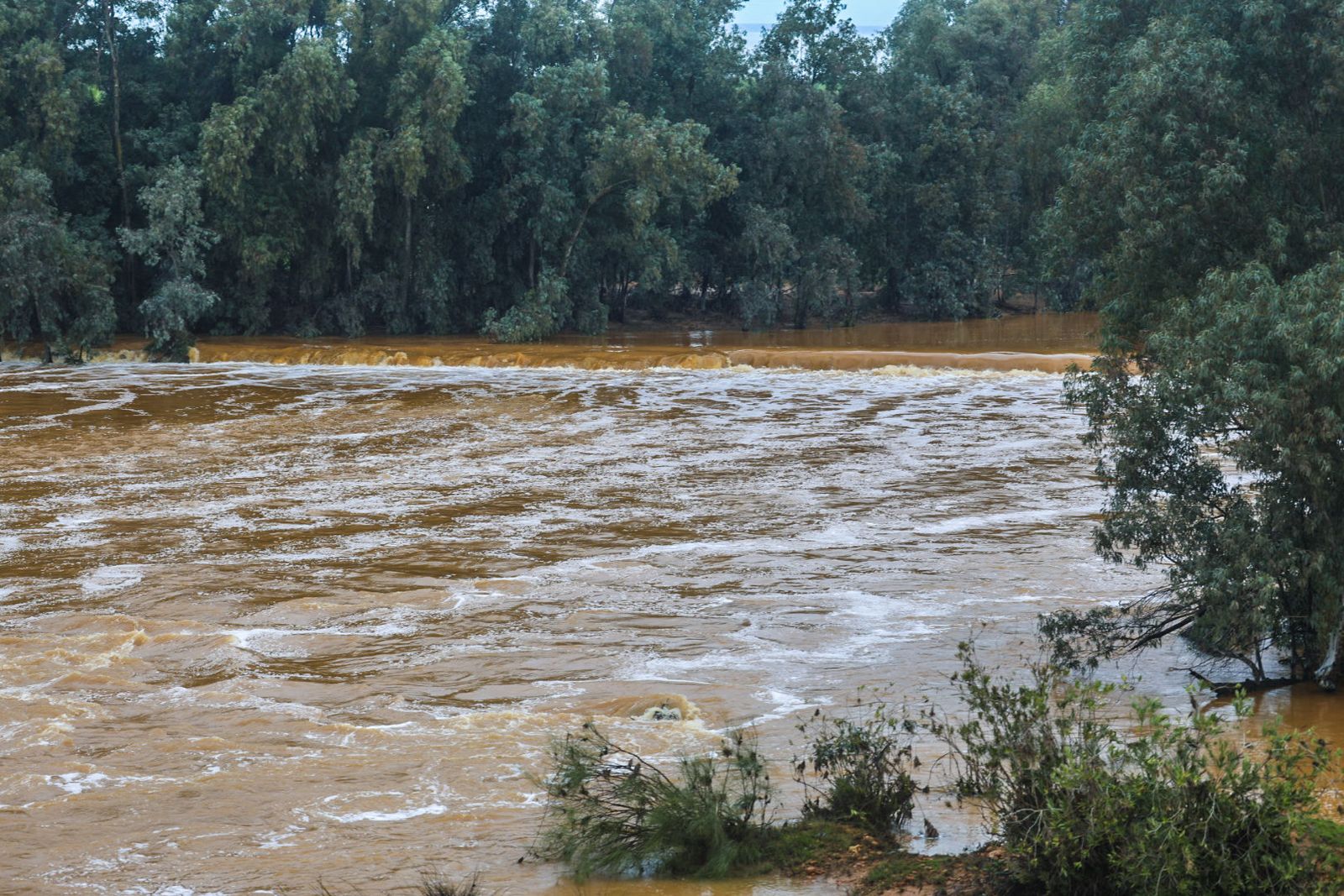 Fotografías del río Tinto a su paso por Niebla