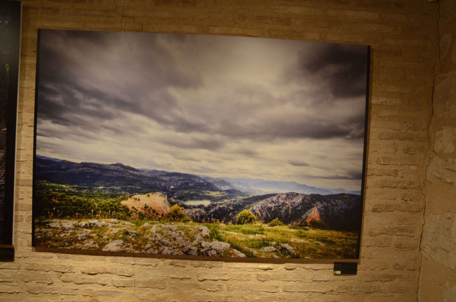 Viajar por Jaén sin moverse de la sala: la exposición ‘Paisajes’ que invita a caminar el territorio, en imágenes