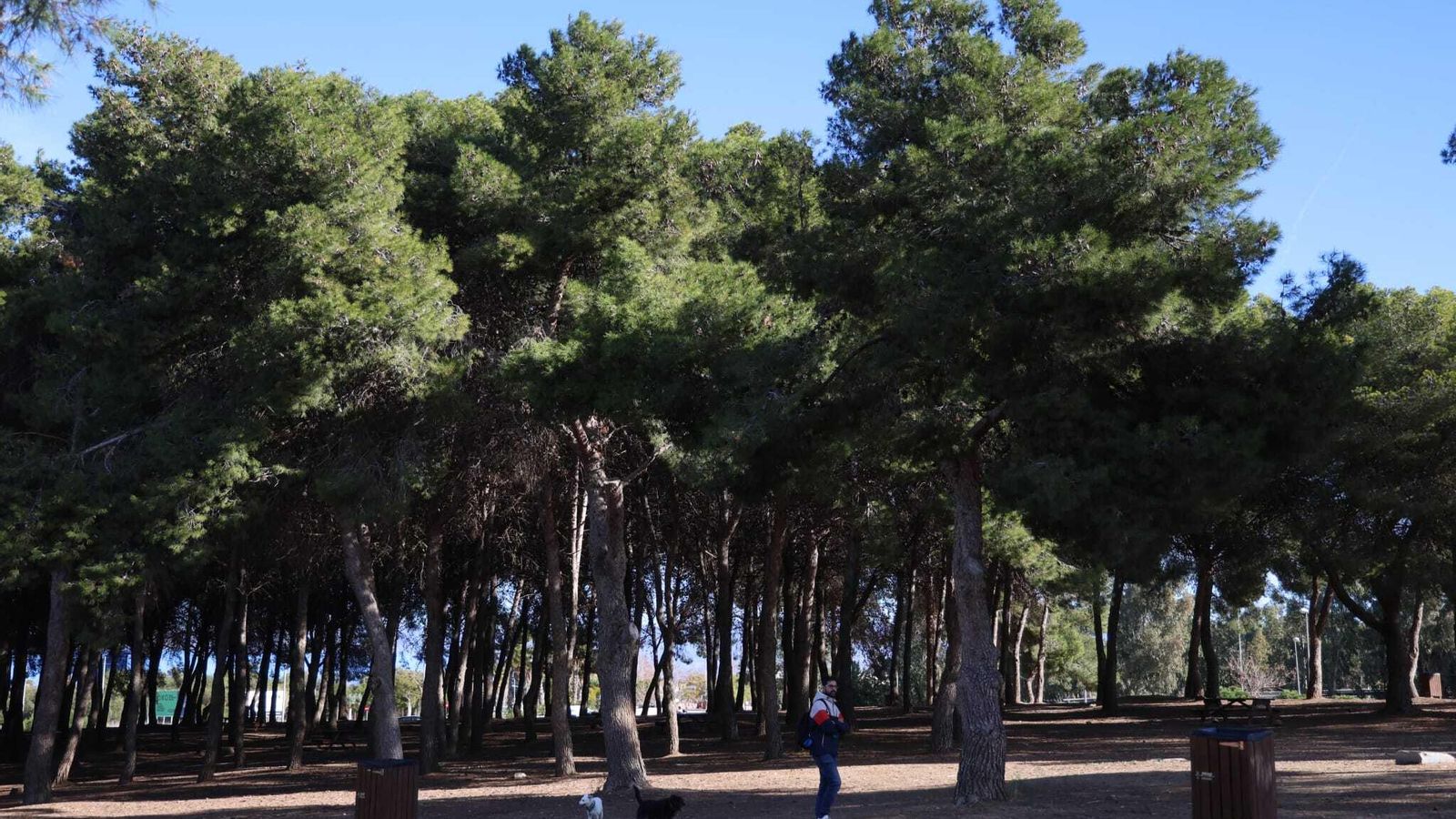 El parque del Benítez en Málaga contará con cuatro kilómetros de rutas senderistas.