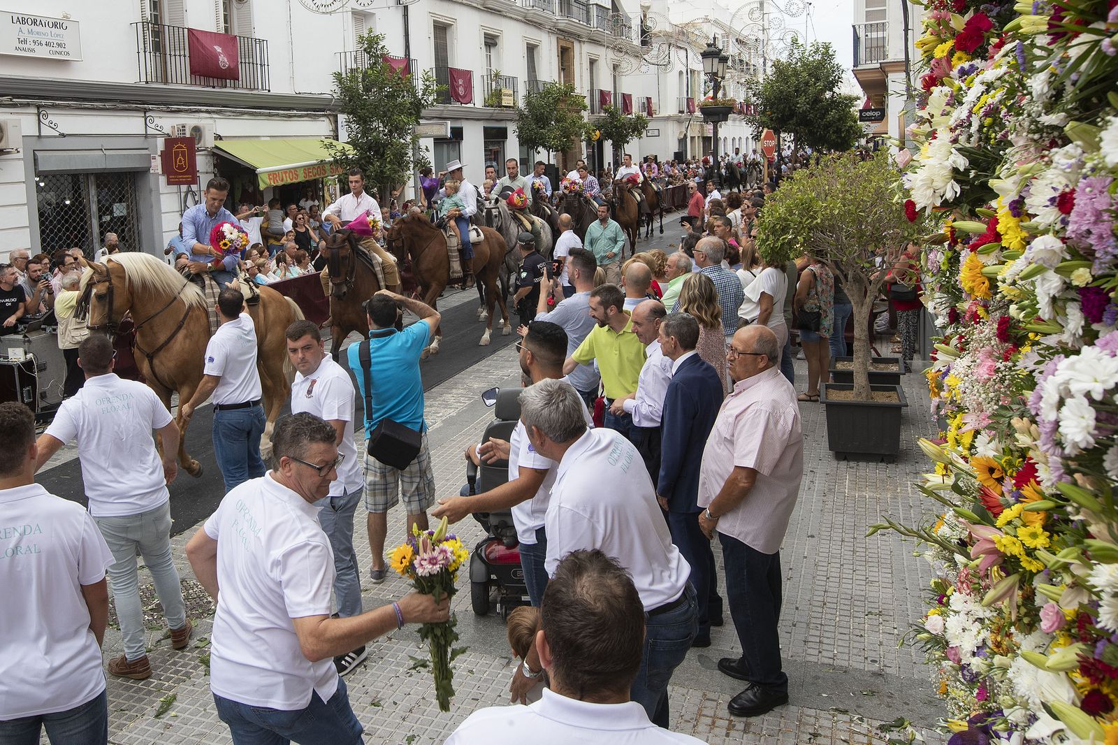 Imágenes de la ofrenda floral a la Patrona