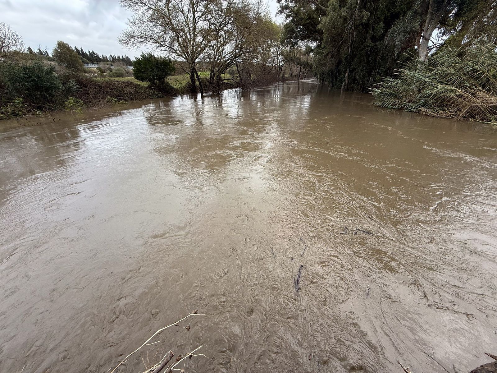 Las fotos del desembalse de agua en la presa de Charco Redondo de Los Barrios