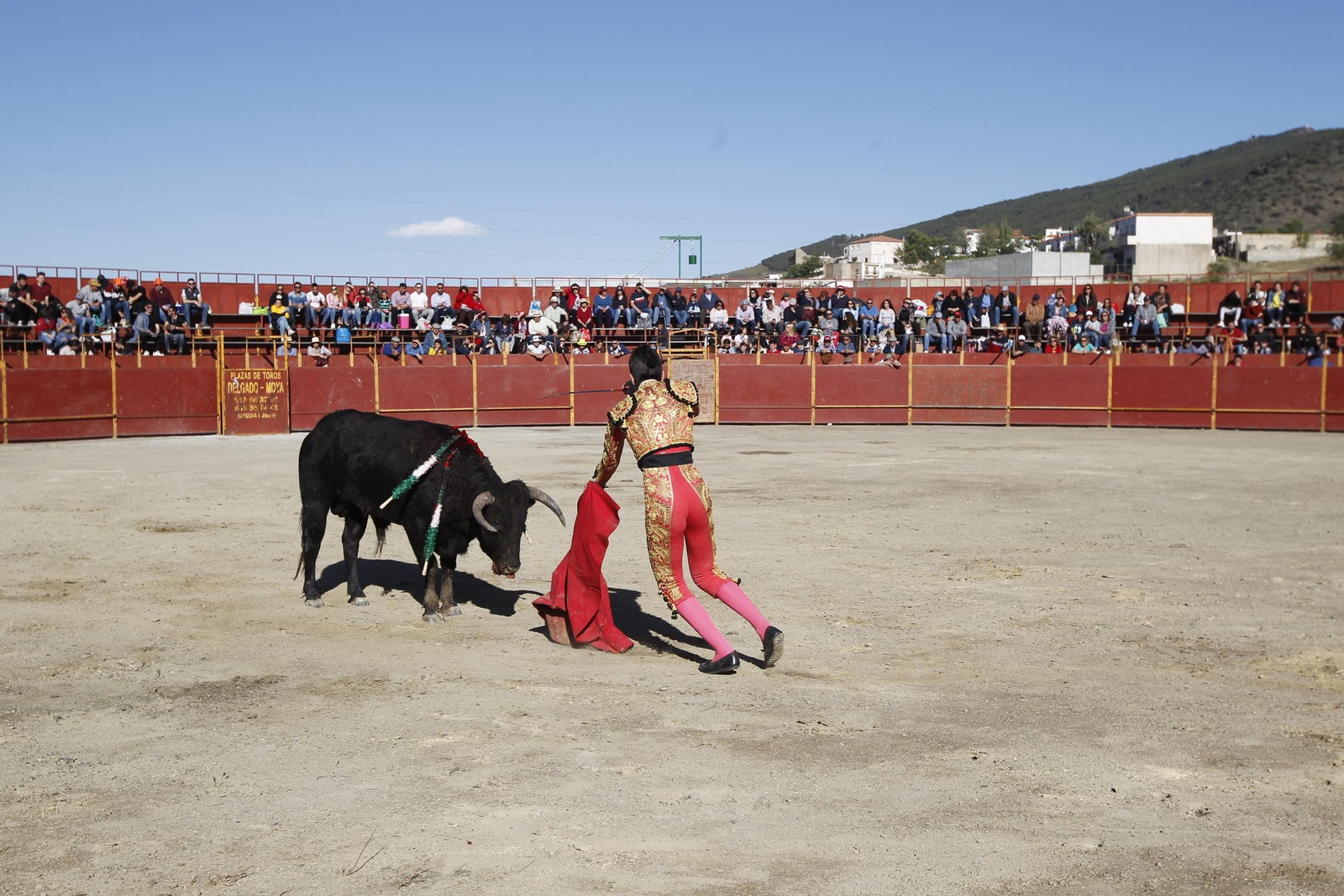 Fotogalería Novillada Fiestas de Abrucena