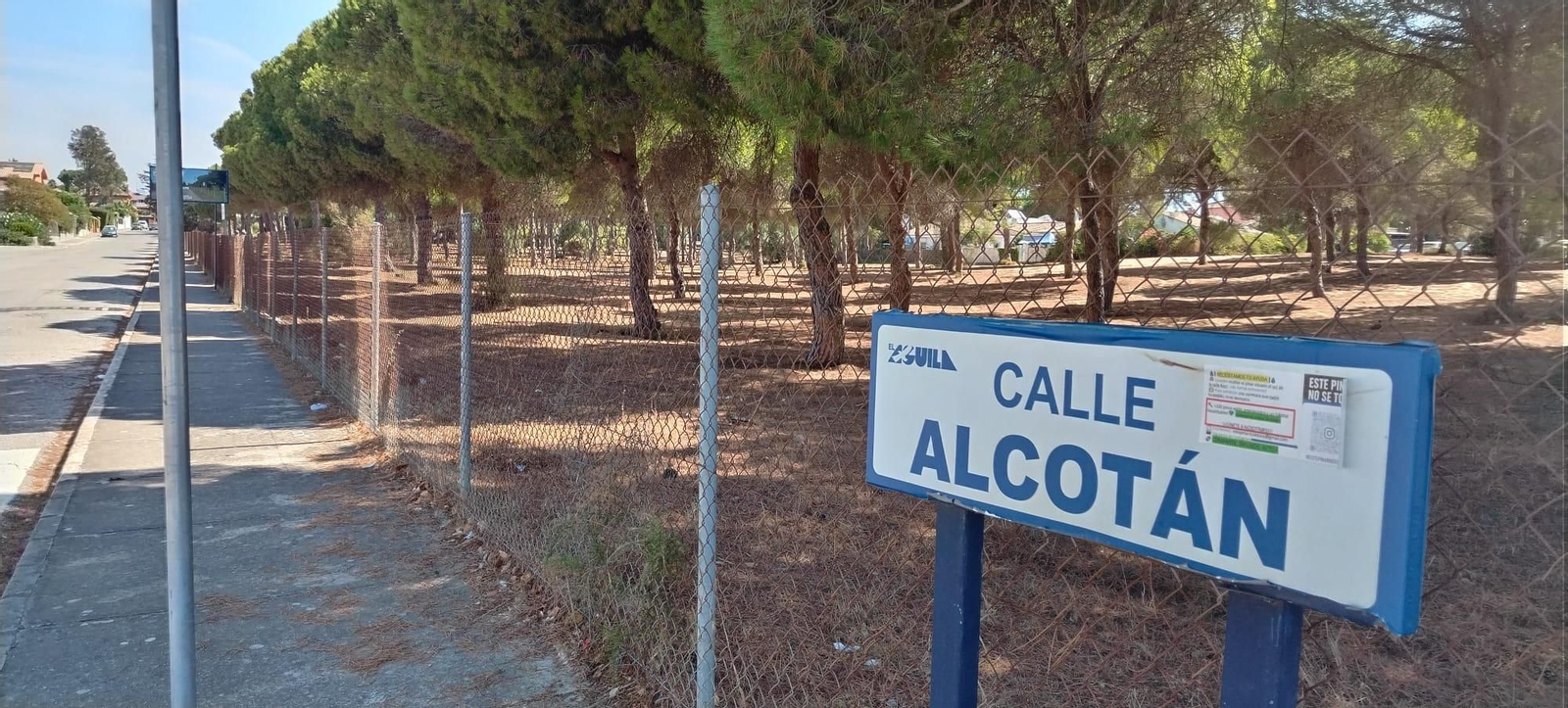 Una vista del pinar desde la calle Alcotán.