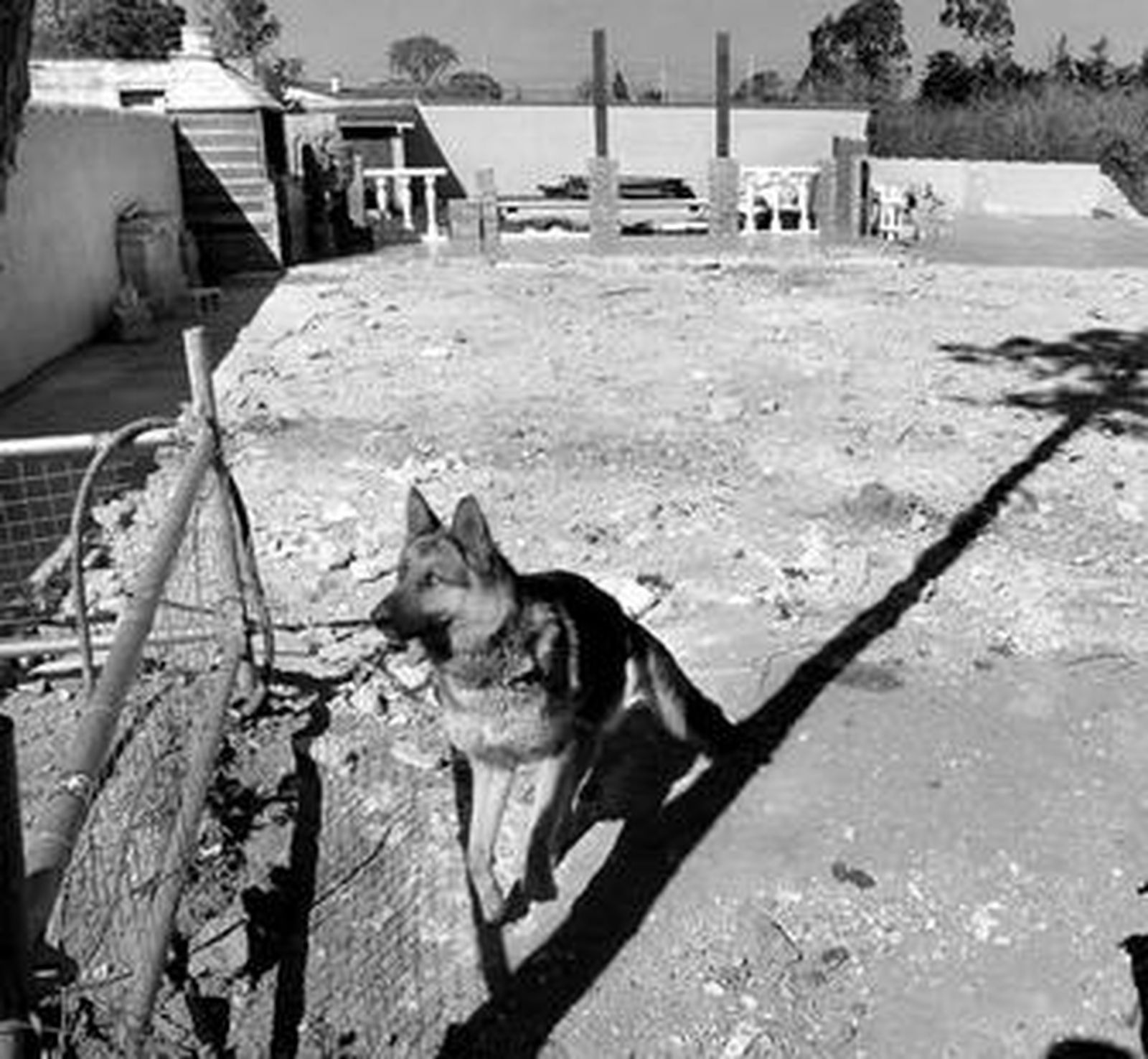 Imagen del solar en el que se encontraba la casa ilegal que fue derribada la pasada semana.