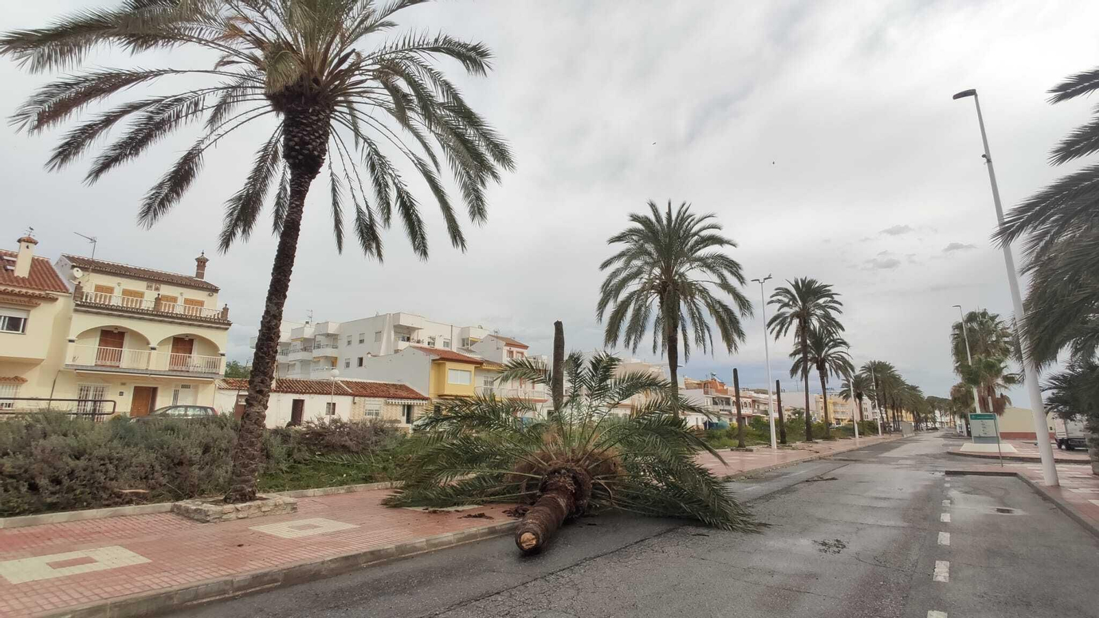 El temporal de lluvia y viento en Málaga