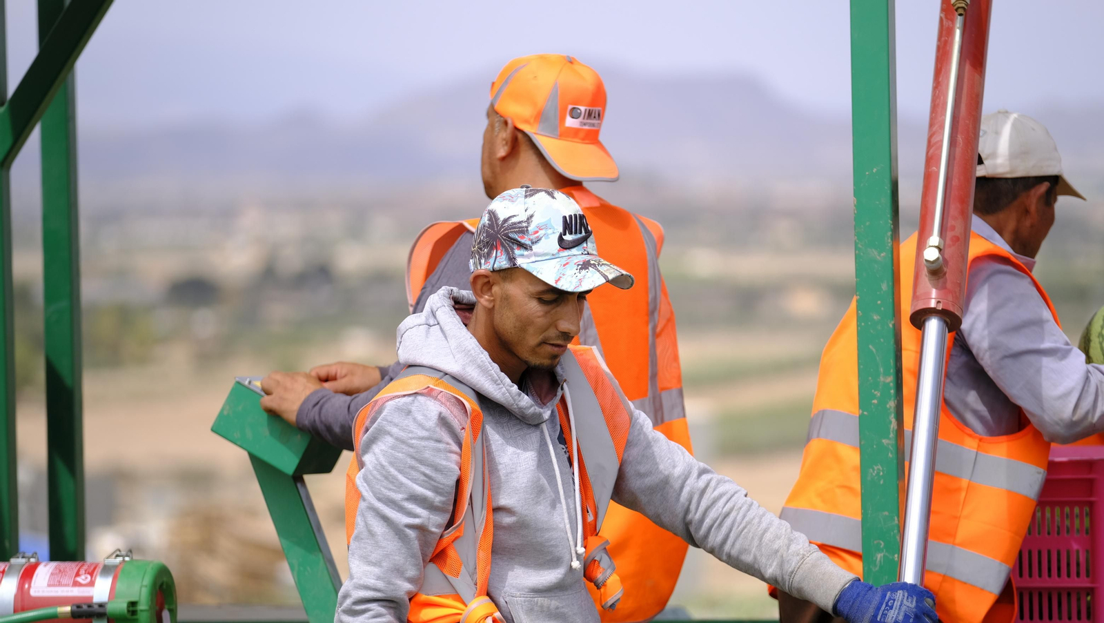 La sandía y el melón de Huércal Overa, manjares en imágenes