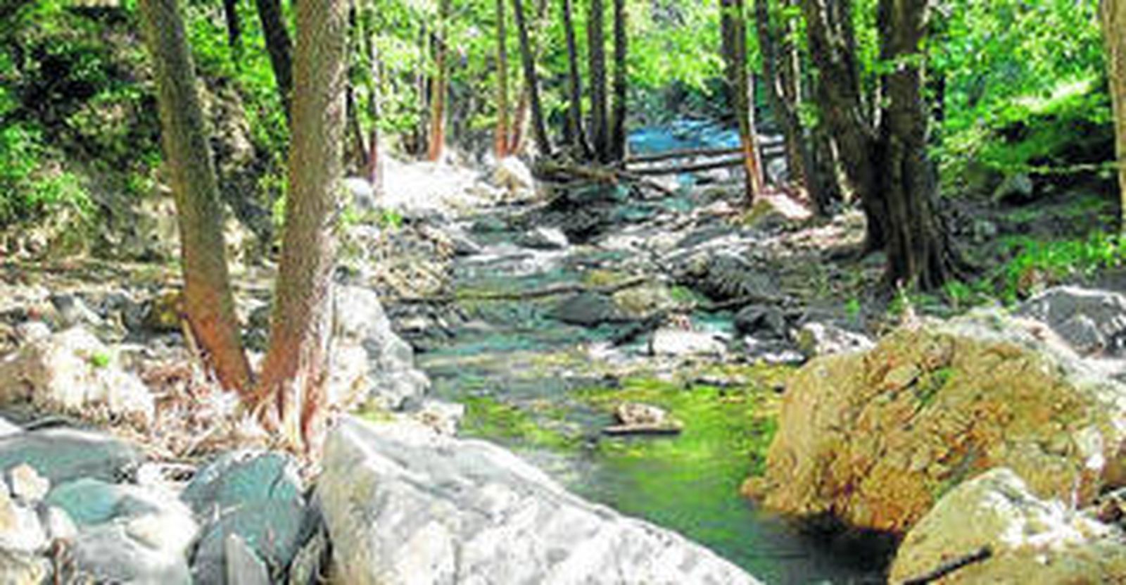 Estampa del origen del río Nacimiento.