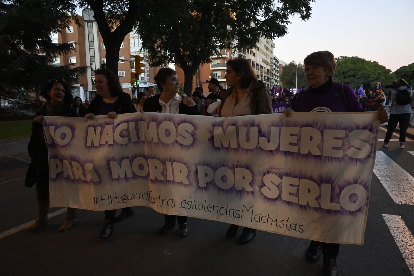Manifestación del 25N en Imágenes.