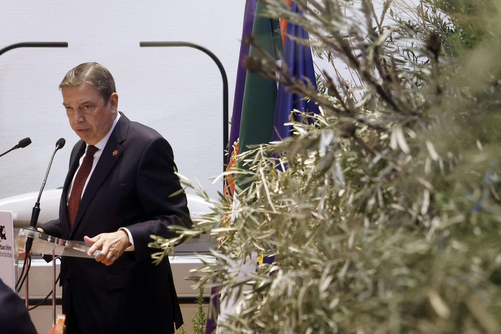Reunión del Consejo Oleícola Internacional en Córdoba