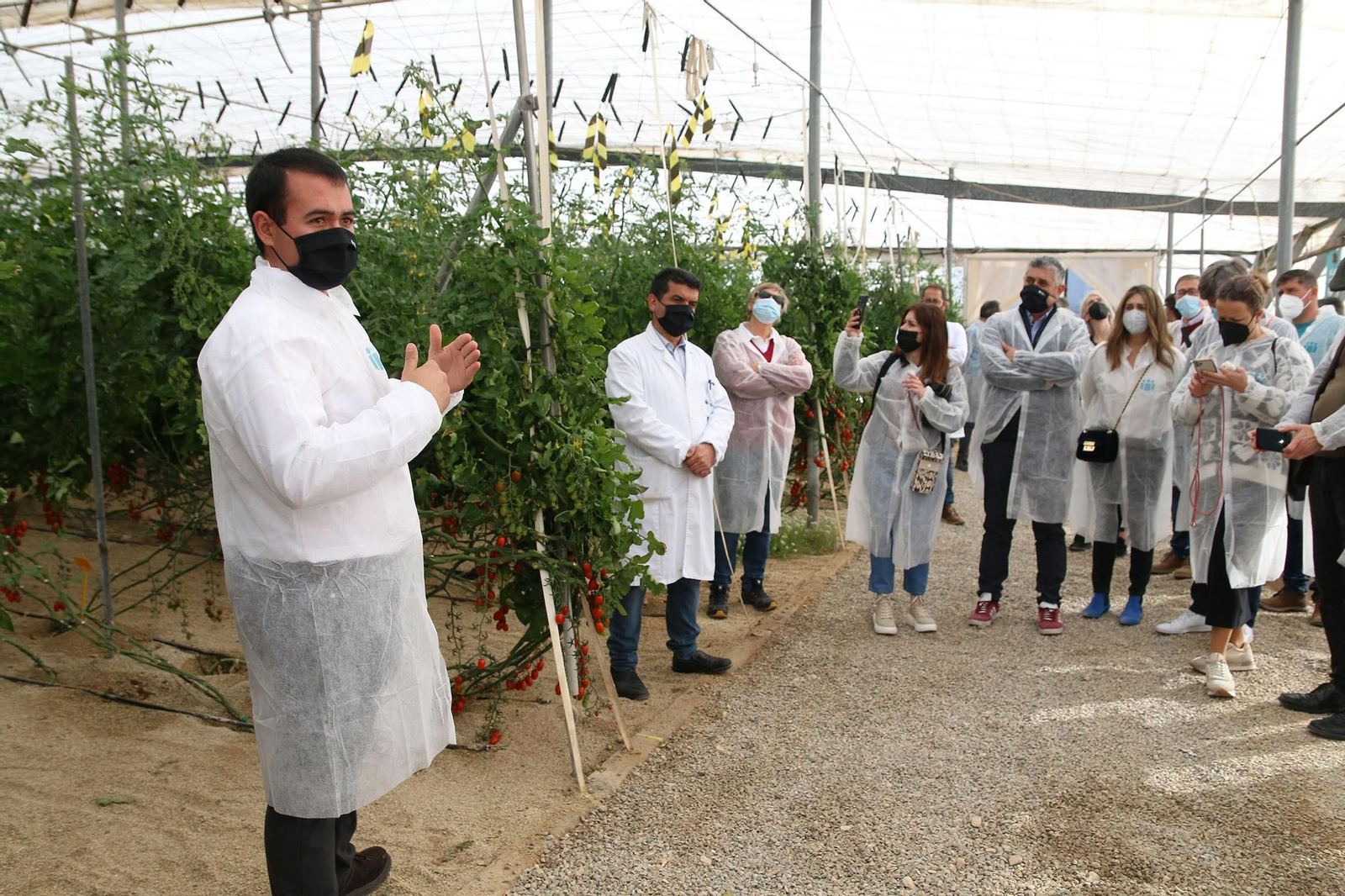 Fotogalería de la presentación de Plataforma Tierra, de Cajamar e IBM
