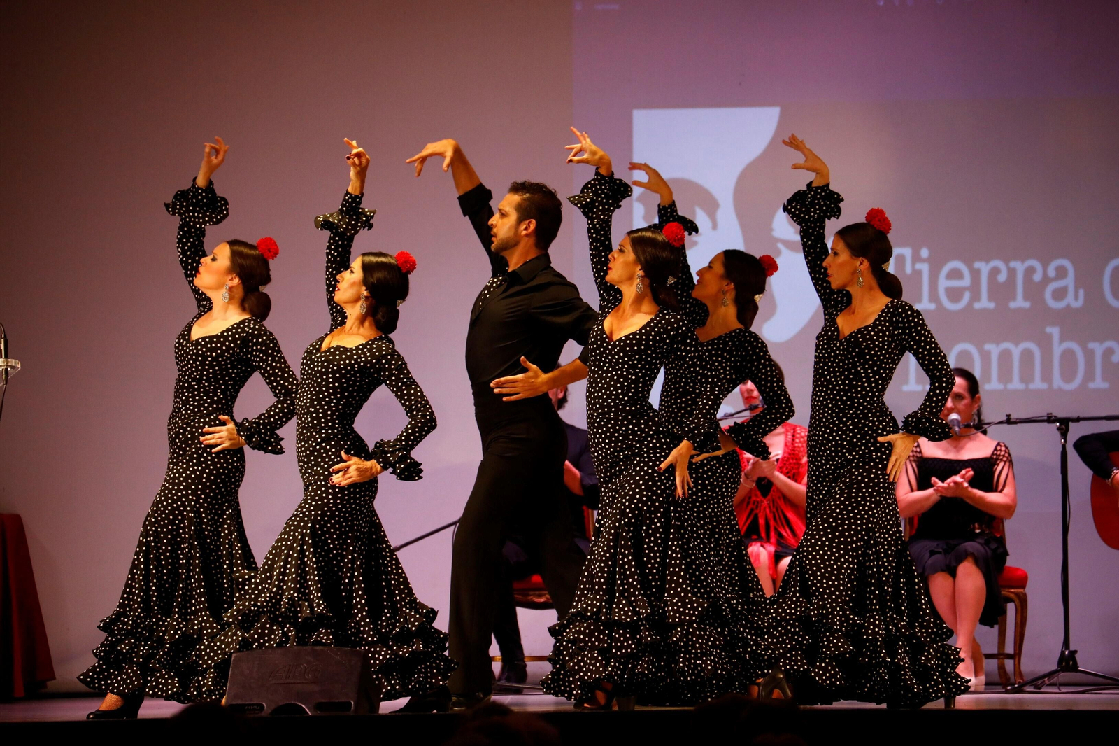 El Encuentro de Escuelas de Baile de Córdoba, en imágenes