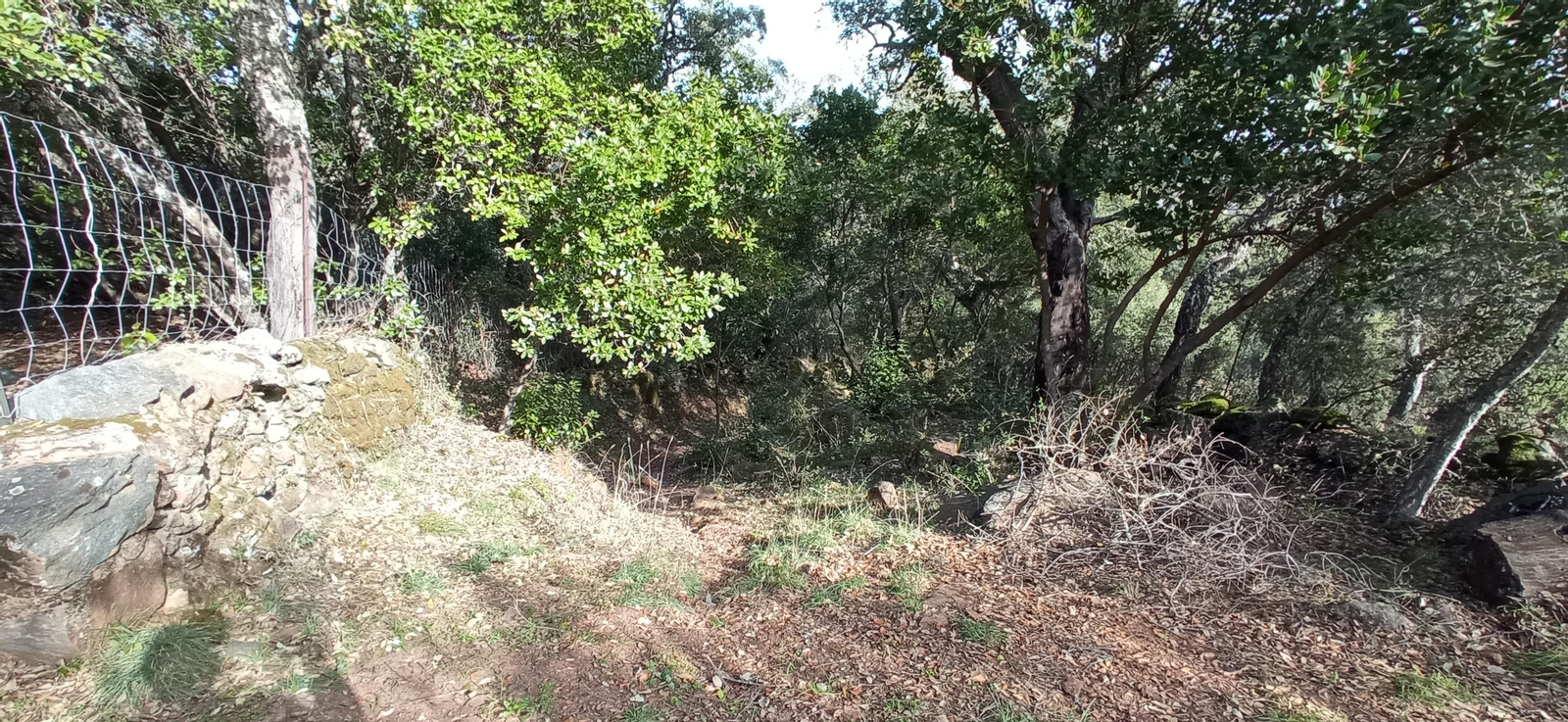 Las imágenes de la ruta de la Dehesa de Valdelama: De Los Marines a Fuenteheridos y vuelta